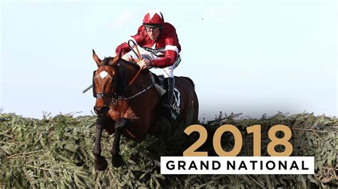 Tiger Roll Roars To Grand National Success .